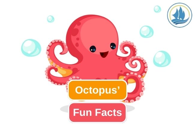 Get To Know About 12 Fun Facts of Octopus 